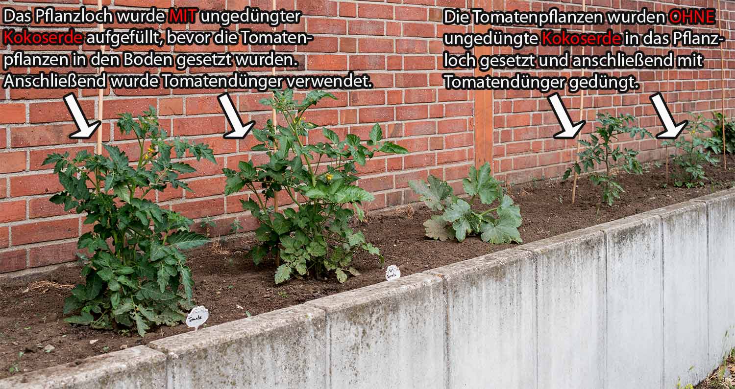 blumenerde mit kokosfasern